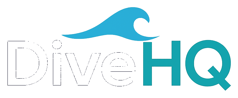 DiveHQ